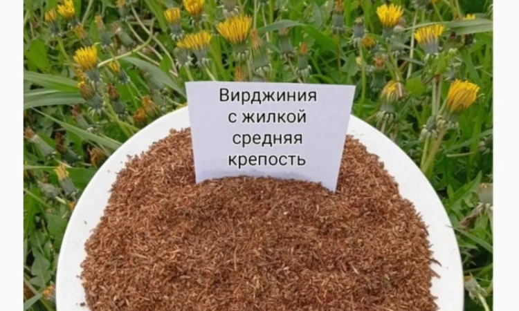 Тютюнець для самокруток. Продаж від 100 грам - фото № 6