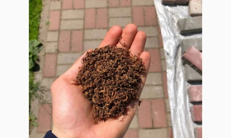 Тютюн Вірджинія / Берлі / Руно / Мальбро / Кап Блек / Давідофф / Махорка / Гільзи / Люльки - фото № 3