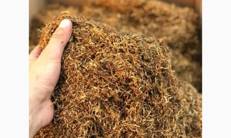 Продаж тютюну в Україні - Мальбро Гавана Дюбек Вірджинія Руно Голд Вінстон Кап Блек Махорка Ксанті Опт - фото № 2