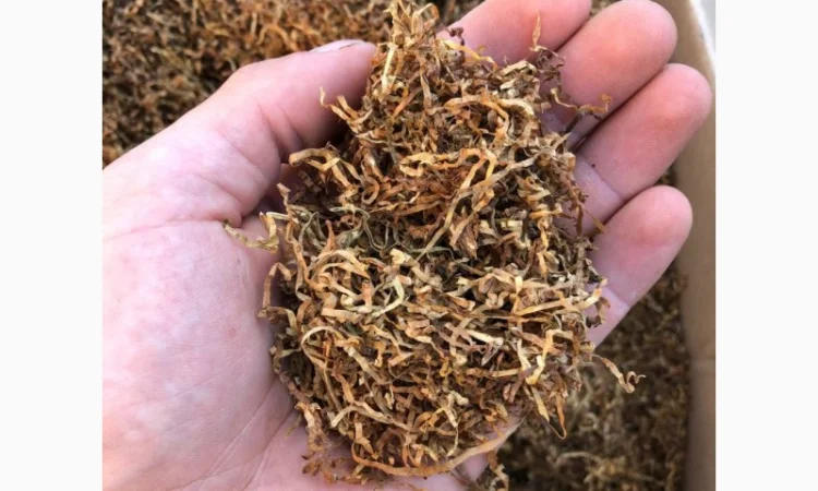 Мальбро Гавана Дюбек Вірджинія Руно Голд Вінстон Кап Блек Махорка Ксанті табак для сигарет 1 кг , Опт - фото № 4