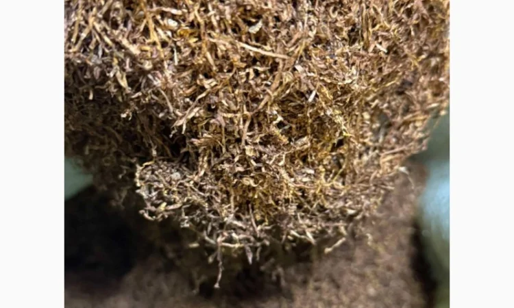 Тютюн Гаванна. Берлей. Капітан блек для гільз - фото № 3