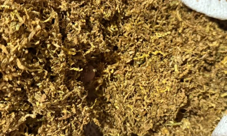 Тютюн Гаванна. Берлей. Капітан блек для гільз - фото № 4