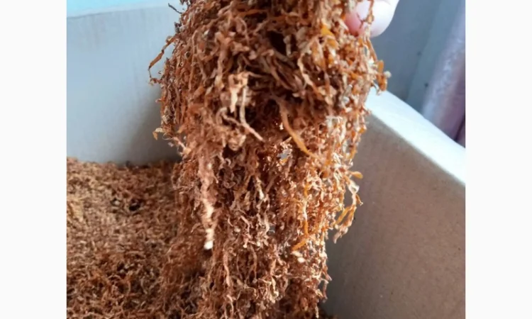 ШИРОКИЙ ассортимент ФАБРИЧНЫХ ТАБАКОВ для сигарет 1 кг  и аксессуаров по низким ценам ОПТ - фото № 11