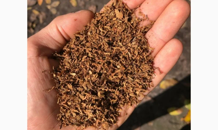 Гільзи - фото № 13