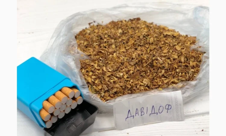 Гільзи - фото № 19