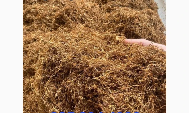 Приємний аромат-Кентукі - фото № 1