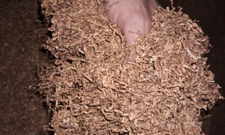 Тільки опт, табак для сигарет 1 кг - фото № 2