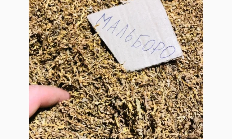 Берлі, Вірдж Голд, Капітан Блек, Гавана, Міленіум, Золоте Руно, Кентукі - фото № 9