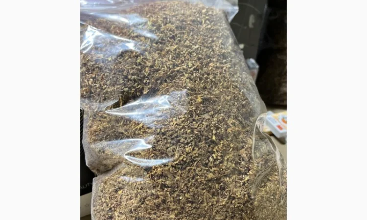 Парламент - фото № 9