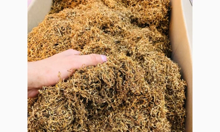 Гільзи та якісний тютюн у продажу - фото № 15