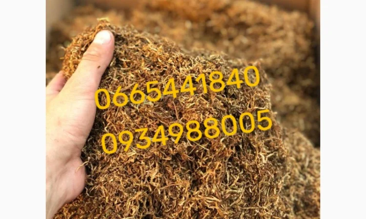 Якісний тютюн Парламент Голд Берлі Вірджинія Руно Вінстон Кемел Мальбро Гавана Є ОПТ - фото № 1