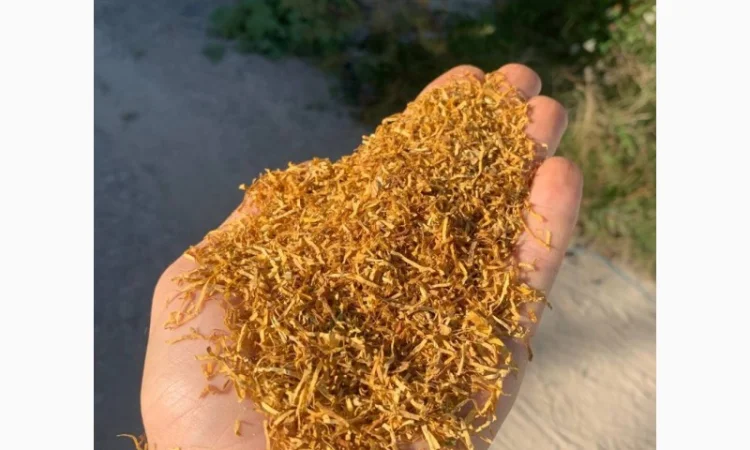 Якісний тютюн Парламент Голд Берлі Вірджинія Руно Вінстон Кемел Мальбро Гавана Є ОПТ - фото № 13