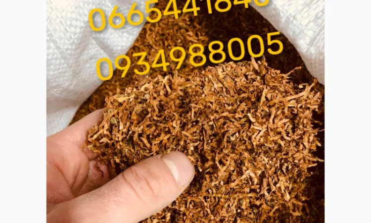 Якісний тютюн Парламент, Голд, Берлі, Вірджинія та ін. - ОПТ - фото № 8