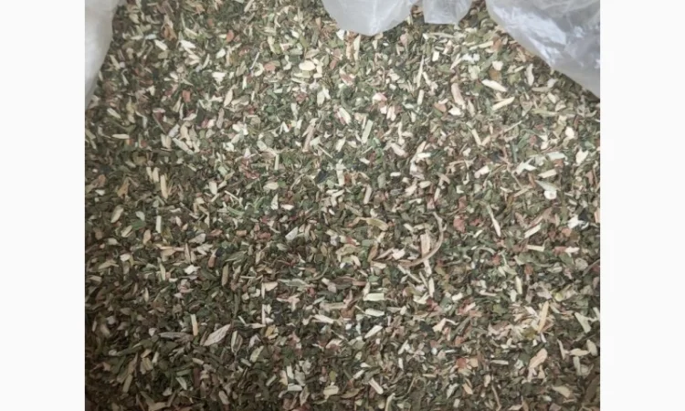 Куплю Самосад для самокруток - фото № 1