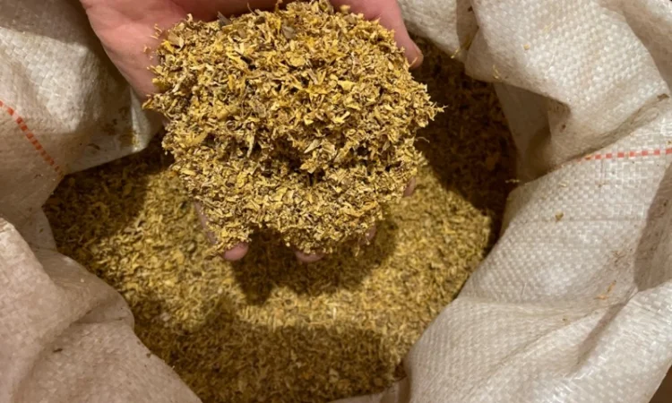 Табак лучший сорт гильзы в ассортименте - фото № 3