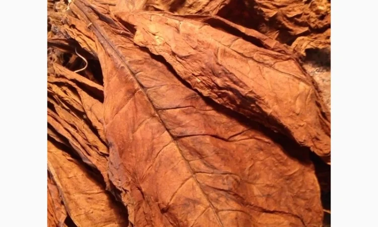 Продам трубочный табак, Перик (Perique), Флейк (Flakе), Кавендиш (Cavendish), Житомир для самокруток - фото № 7