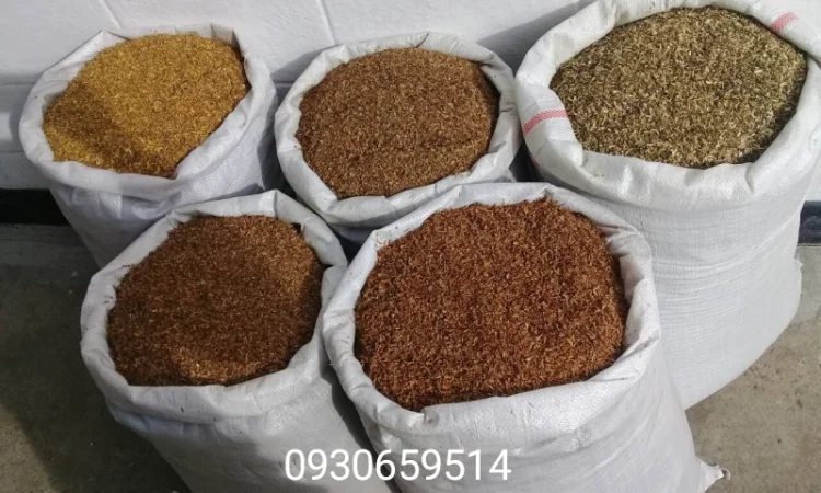 Табак Вирджиния, Берли, Винстон, Честер, Парламент - фото № 1