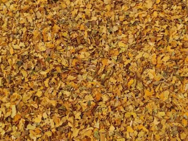 ДЕШЕВО, табак европейского качества, КрепкийБерлі, Средняя Вирджиния, Махорка, Мальборо, Дюбек - фото № 5