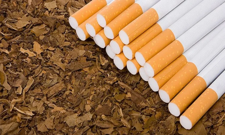 Пропонується тютюн нарізка лапша Вірджинія, Берли - фото № 6