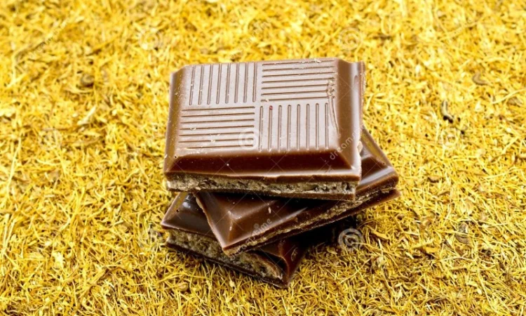 Импортный Экслюзивный Табак Мальборо Шоколад для сигарет 1 кг - фото № 1