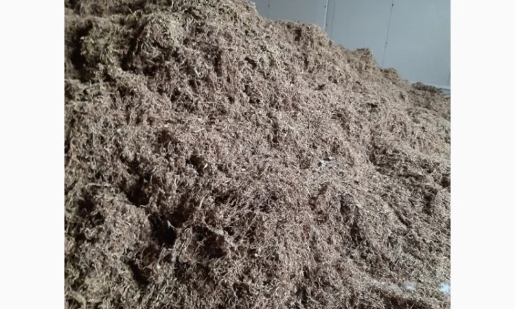 Табак берлей от 10 Кг - фото № 3