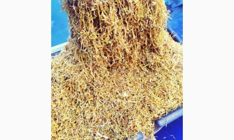 Тютюн нарізка лапша, Вірджинія, Берли, Тернопольский для самокруток - фото № 2