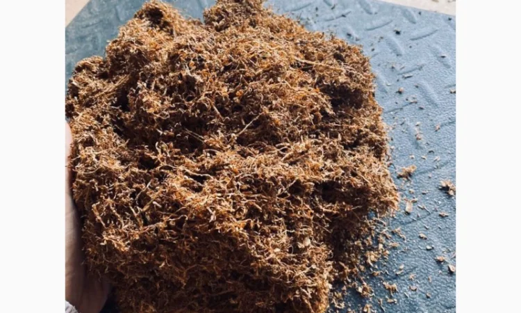 Табак Кентуки (Польща) - фото № 1