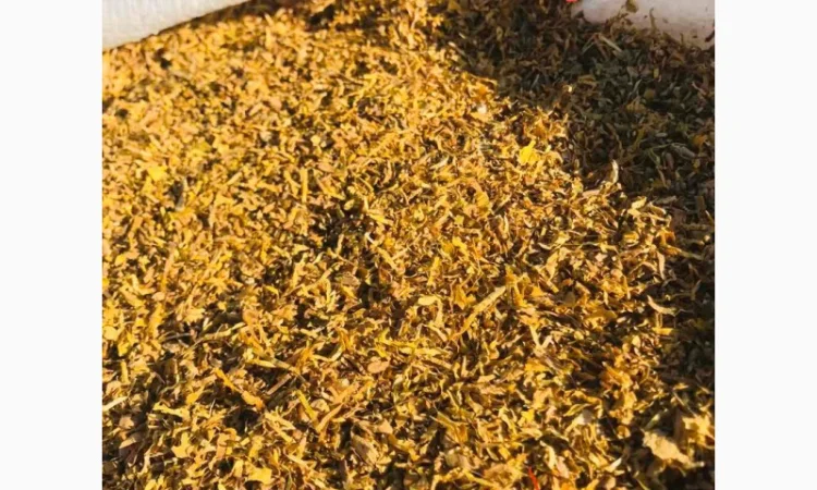 Продаж якісного тютюну для  самокруток ! Вірджинія Голд, Кентуккі, Берлі, Вірджинія, Мальборо - фото № 5