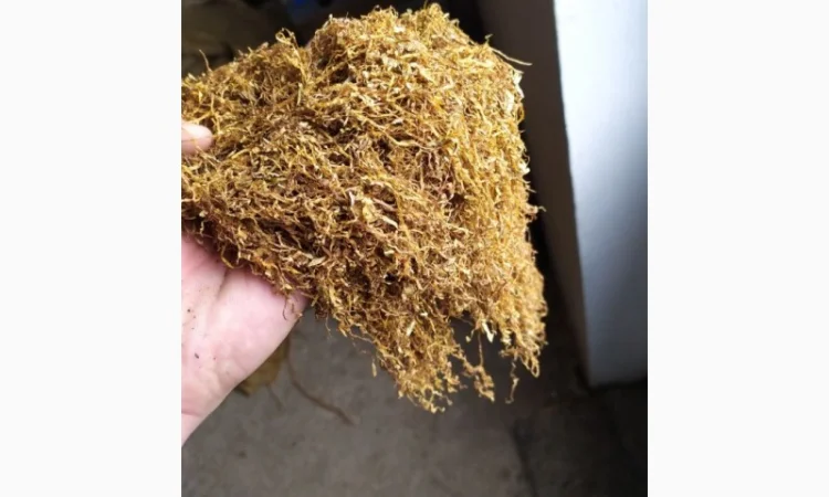 Кемл, Давидоф, Вирджигия Голд резка лапша 0.5-0.8 мм для сигарет 1 кг - фото № 2