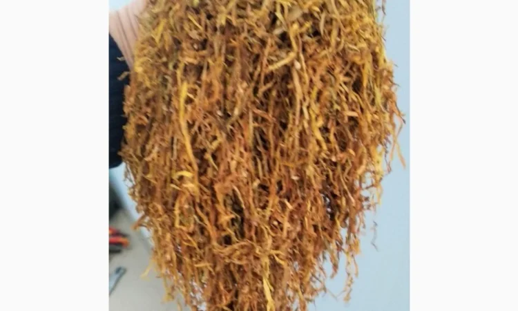 ВИРДЖИНИЯ ГОЛД (Болгария) Лапша. ОРИГИНАЛ! приятный и мягкий аромат ОПТ/розница - фото № 1