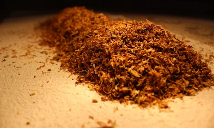 Вирджиния (Вишня, Шоколад) - фото № 2