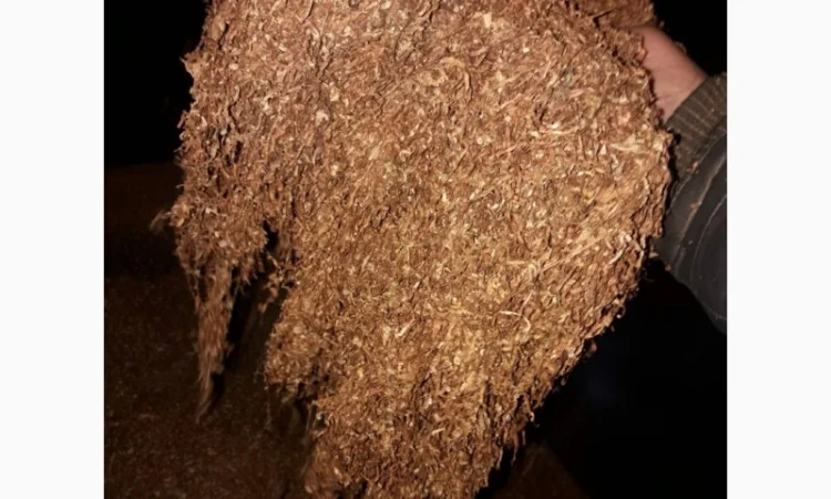 Продам Вирджинию Голд, Гавана Оптом - фото № 6