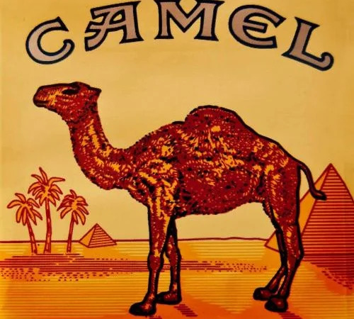 Таьак Фабрика PHILIPMORIS, Winston, Kent, Davidoff, Camel - фото № 3