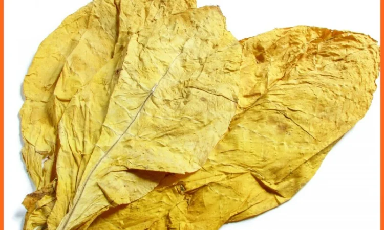 Турецкий, Болгарский табак высокого качества - фото № 1