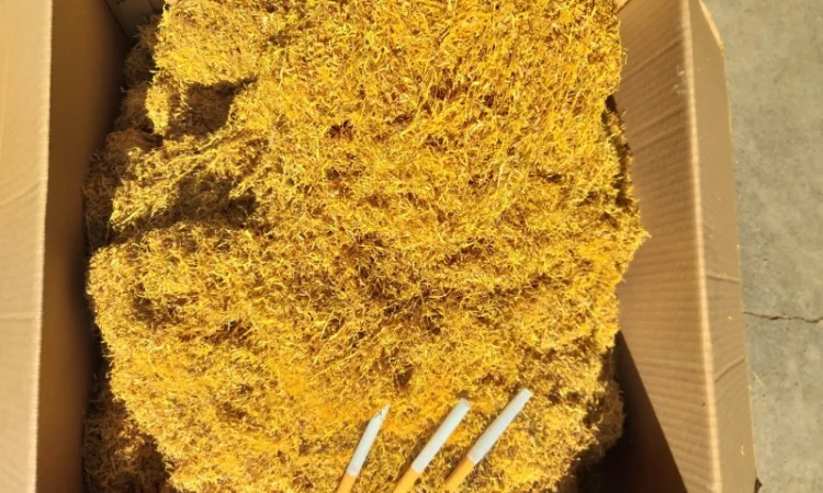 Табак Импорт - фото № 1