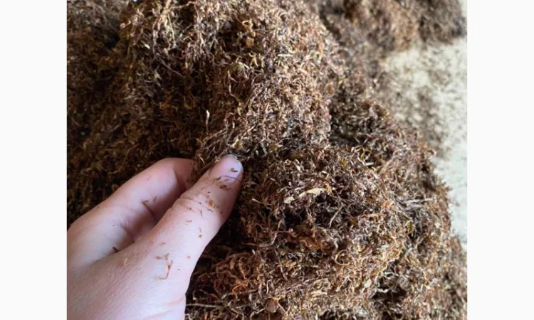 Качественый ферминтированый табак - фото № 6