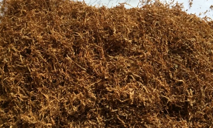 Тютюн Берлі-38. Табак для сигарет та трубок - фото № 1