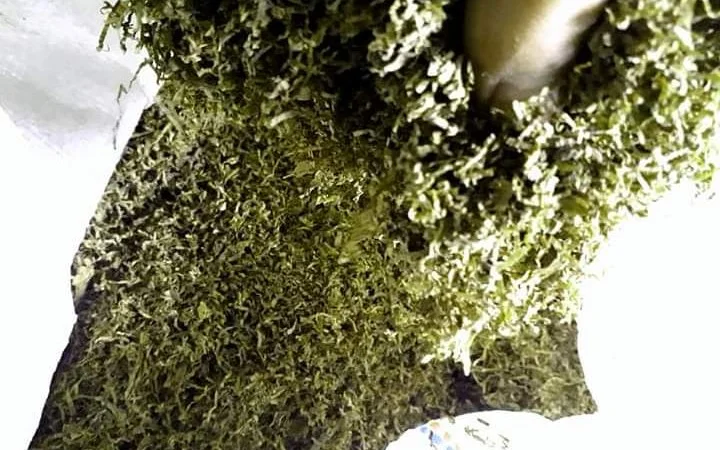 Ротманс, кемел, капитан блек для  самокруток - фото № 5