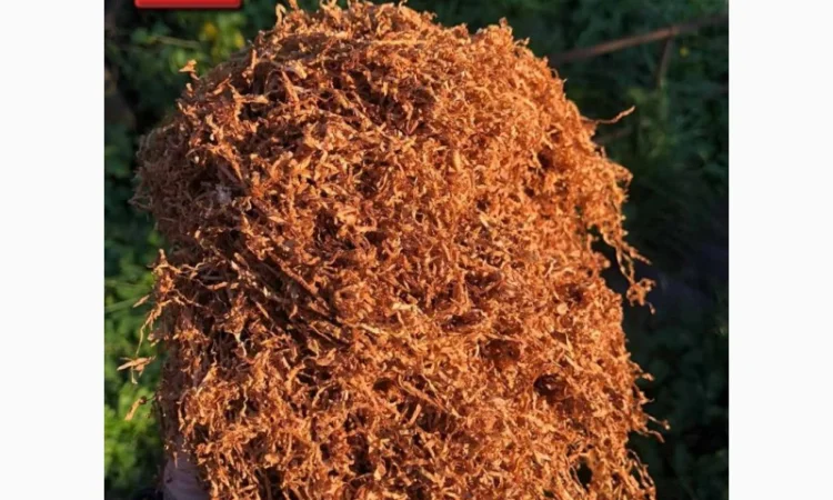 Табачёк ароматный, хорошего качества без жил и пыли для  самокруток. Возможен опт - фото № 7