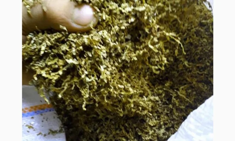 350грн, заводской Мальборо, кемел, парламент, собрание, Вирджиния голд, капитан блек для сигарет 1 кг - фото № 6