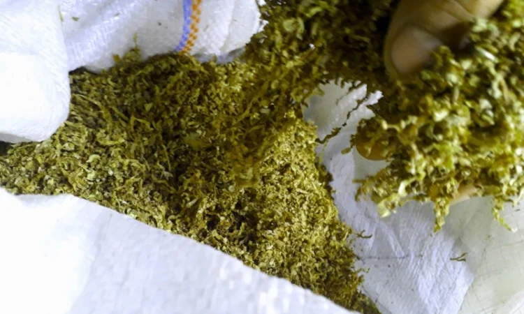 350грн фабричный мальборо, винстон, парламент, кент, капитан блек, голд, золотое Руно для сигарет 1 кг - фото № 8