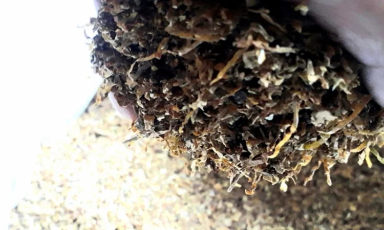 350грн фабричный мальборо, винстон, парламент, кент, капитан блек, голд, золотое Руно для сигарет 1 кг - фото № 7