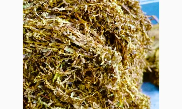 Импортные качественные Табаки - Герцеговина Флор / TENNESI для сигарет 1 кг - фото № 1