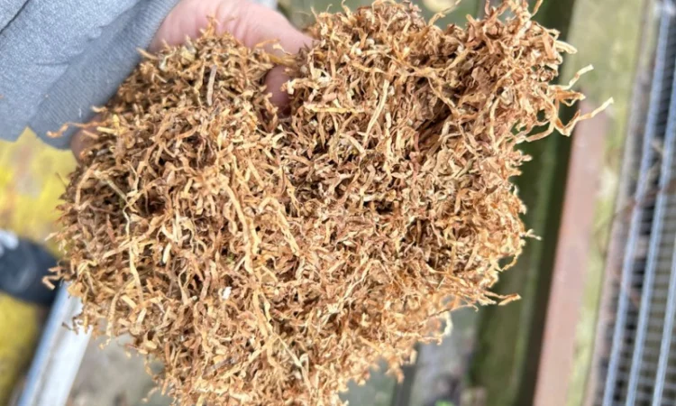 Гільзи - фото № 5