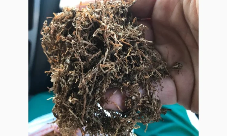 Табак хорошего качества Берли Вирджиния - фото № 4