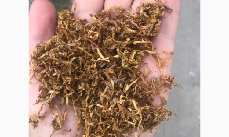 Продам Вирджиния, Берлей по хорошей цене - фото № 10