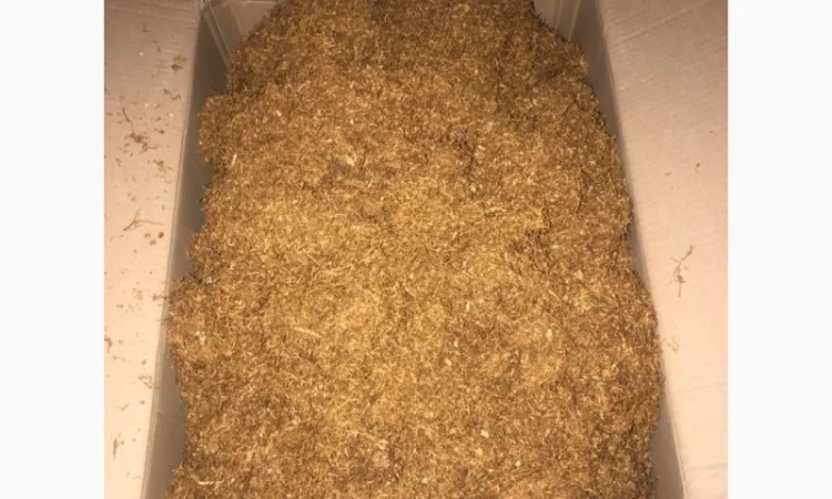 Продам Вирджиния, Берлей по хорошей цене - фото № 6