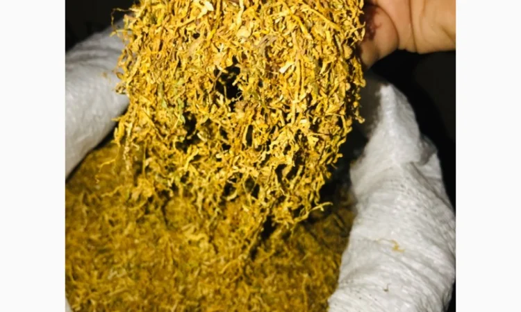 Продам Вирджиния, Берлей по хорошей цене - фото № 7