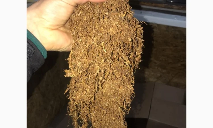 Сорт табака Тернопольский Берли Вирджиния - фото № 3