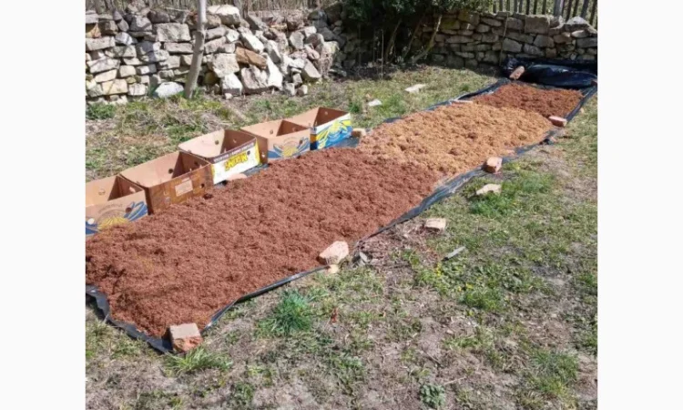 Продам ферментированные табак "Вирджиния GOLD" - фото № 2